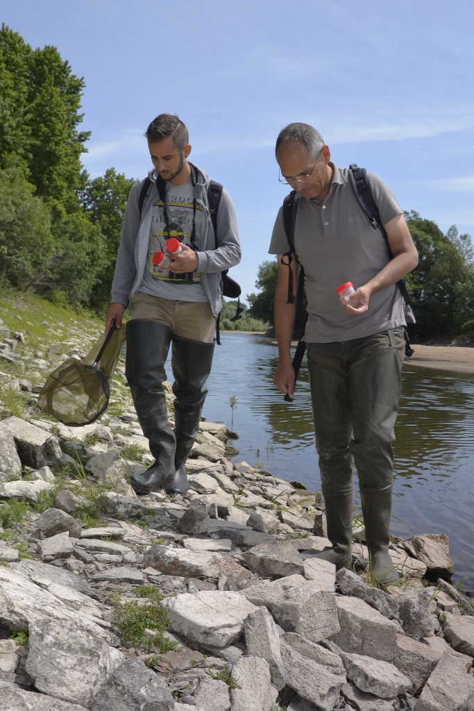 bertrand et hugo prospection juin 2017