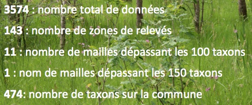 Bota Lavau - Chiffres 2016