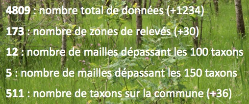 Bota Lavau - Chiffres 2017