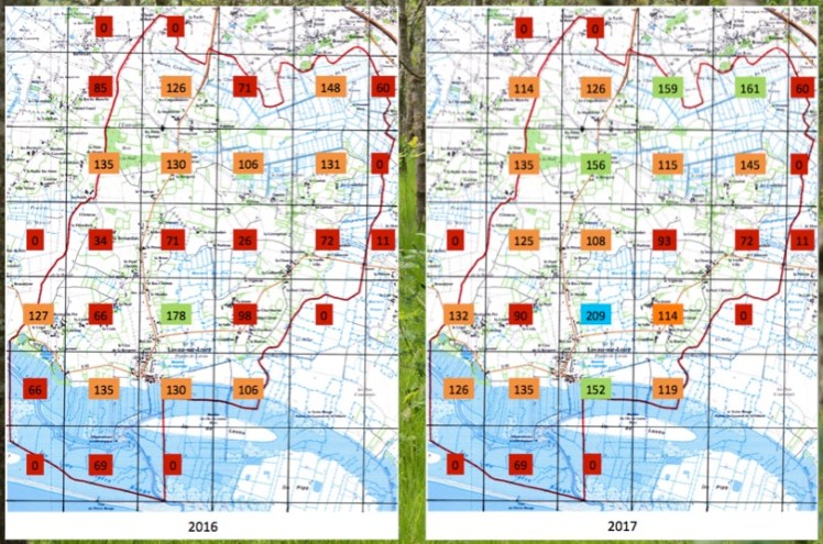 Bota Lavau - Evolution 2016-2017