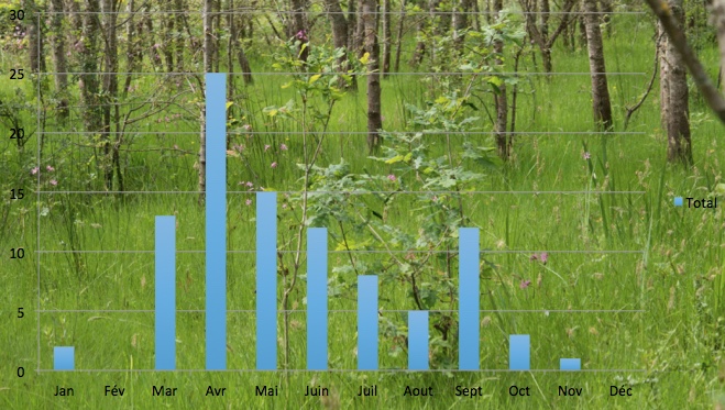 Bota Lavau - Total Sorties par mois