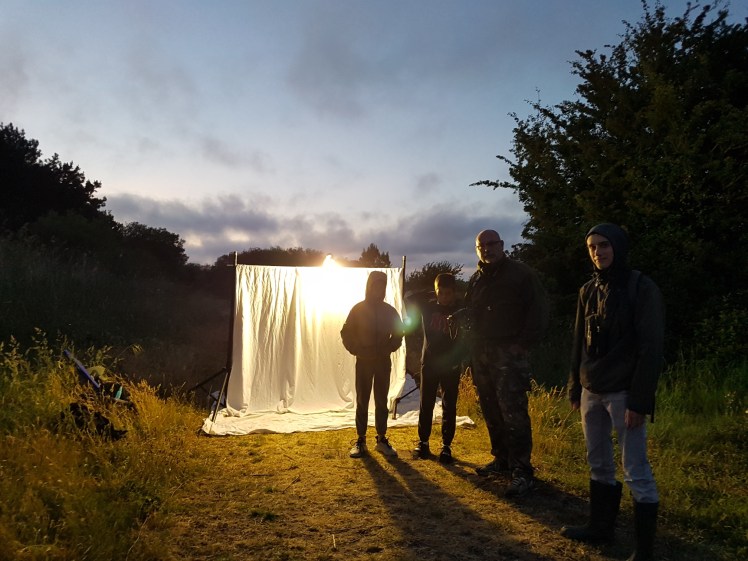 Heteroceres-LaTurballe