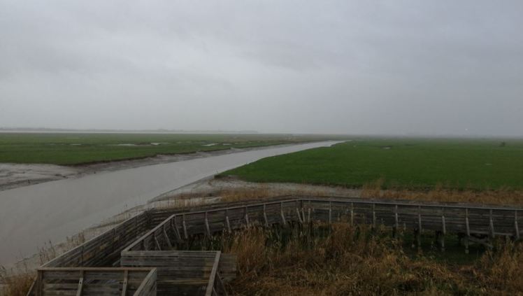 Vue de l'île de Pierre Rouge depuis l'observatoire, avec au fond la Loire et le village de Paimboeuf.