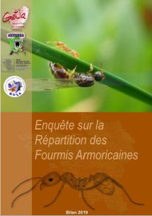 Couverture Bilan 2019 - ERFA